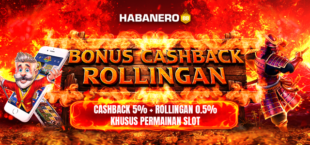 Bonus Cashback 5% + Rollingan