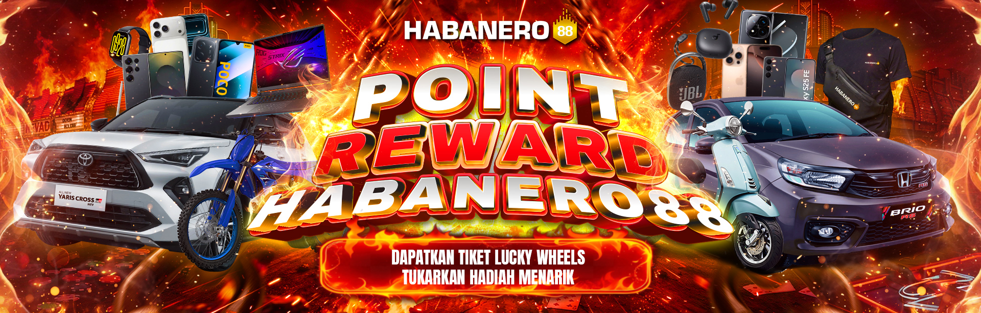 POINT REWARD